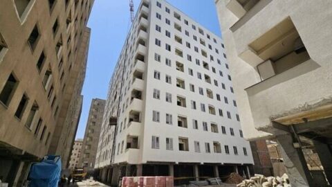 اجاره‌داری حرفه‌ای