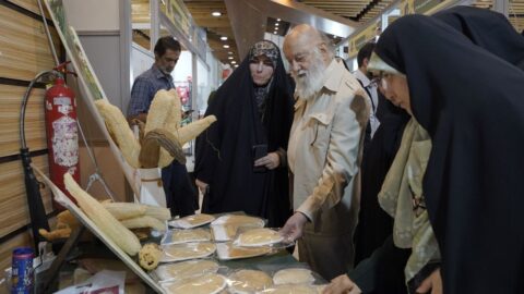 همشهری آنلاین