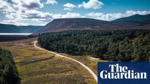 Cyclists on a path running by trees towards a loch in the Cairngorms