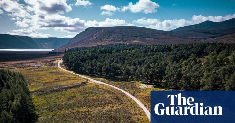 Cyclists on a path running by trees towards a loch in the Cairngorms