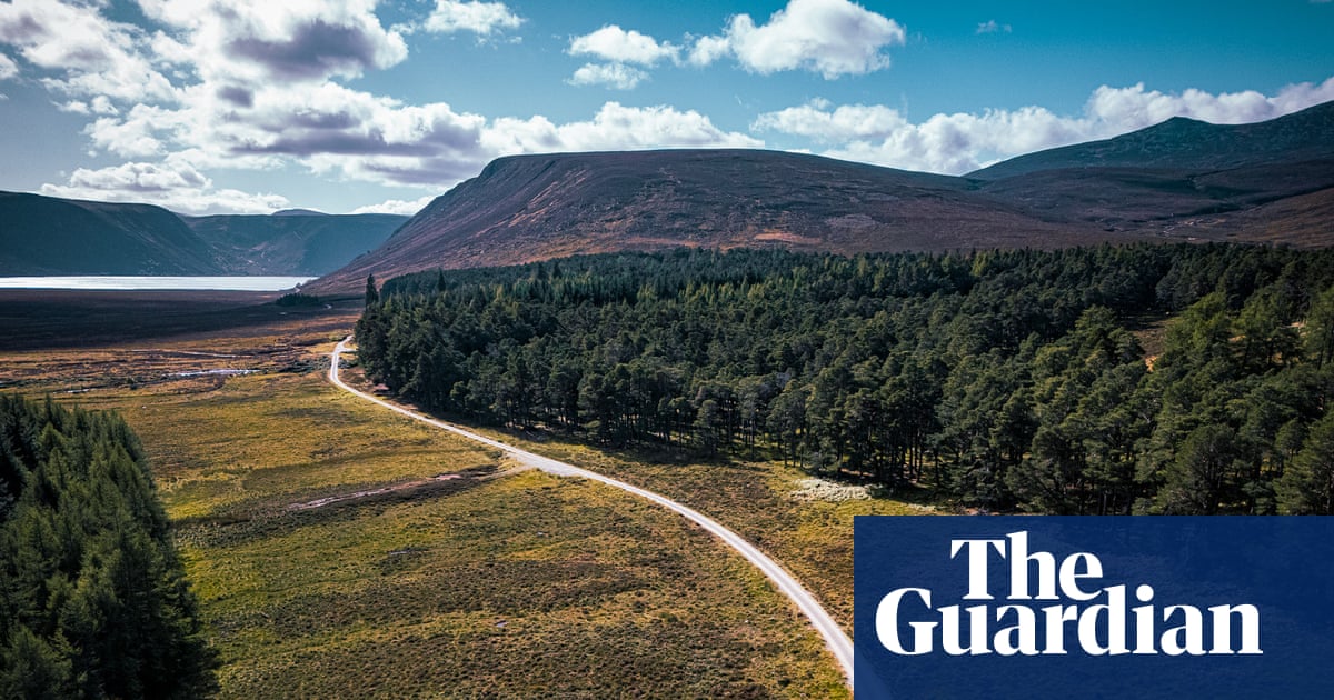 Cyclists on a path running by trees towards a loch in the Cairngorms