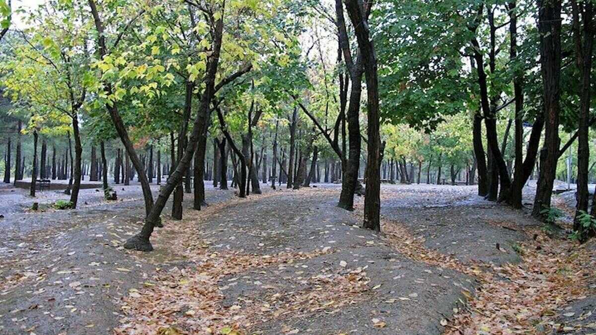 همشهری آنلاین